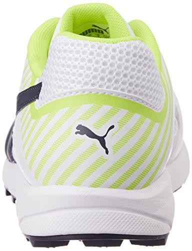 Buy Puma Team Rubber Cricket Shoes Online at Best Price USA